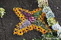 VBS_9712 - Infiorata di Villanova d'Asti 2023